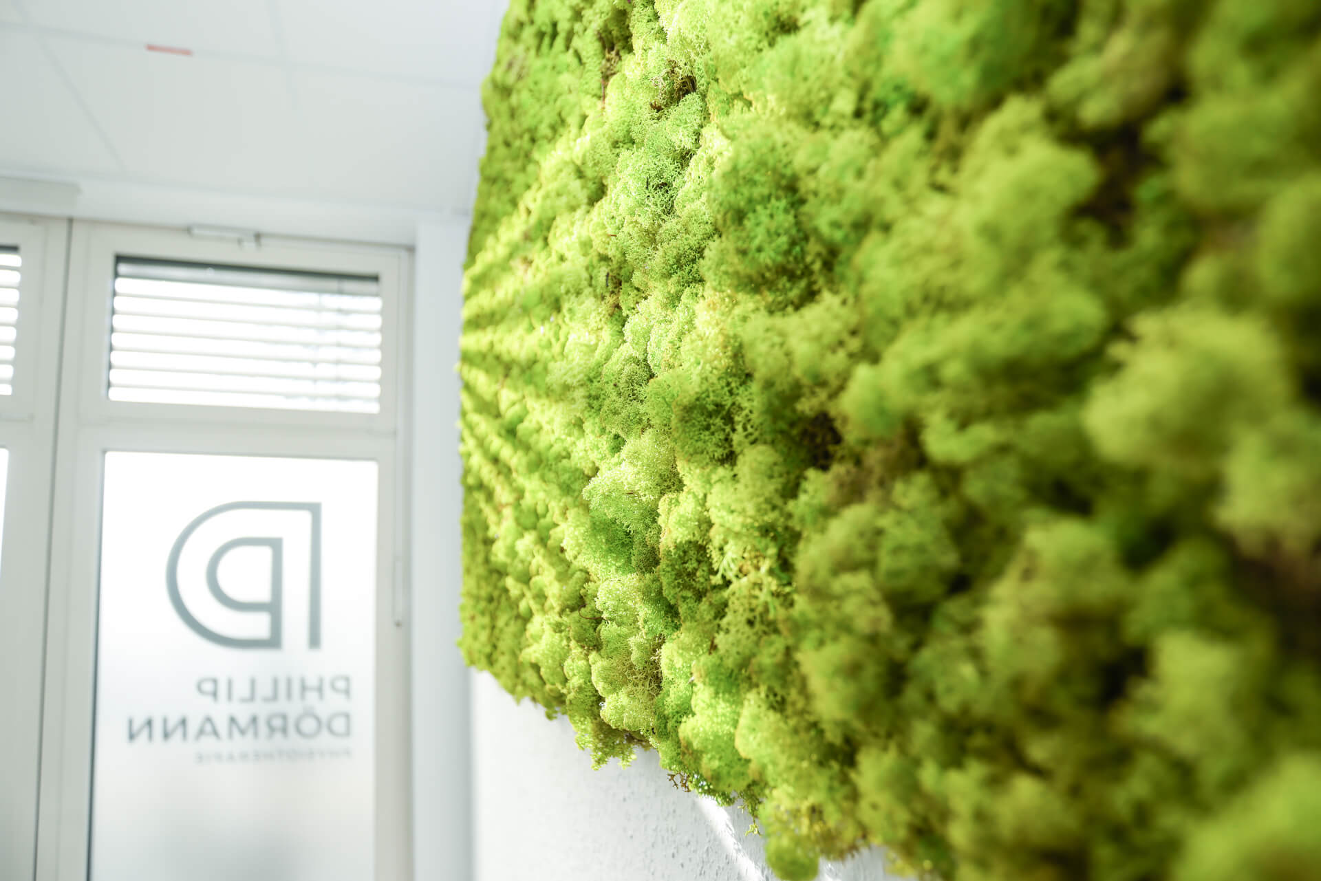 Grüne Mooswand im Büro; rechts im Bild; moderne Gestaltung; helle Umgebung.
