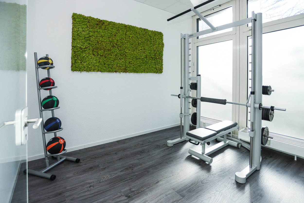 Moderner Fitnessraum mit Kraftstation, bunter Medizinballständer und Mooswand, helles Tageslicht.