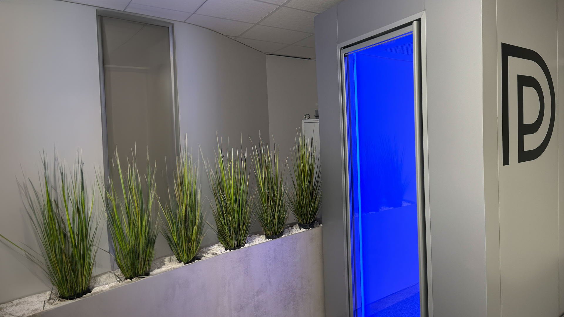 Innenraum mit Pflanzen auf weißem Kies und blauer Leuchtwand neben grau gestrichener Wand.