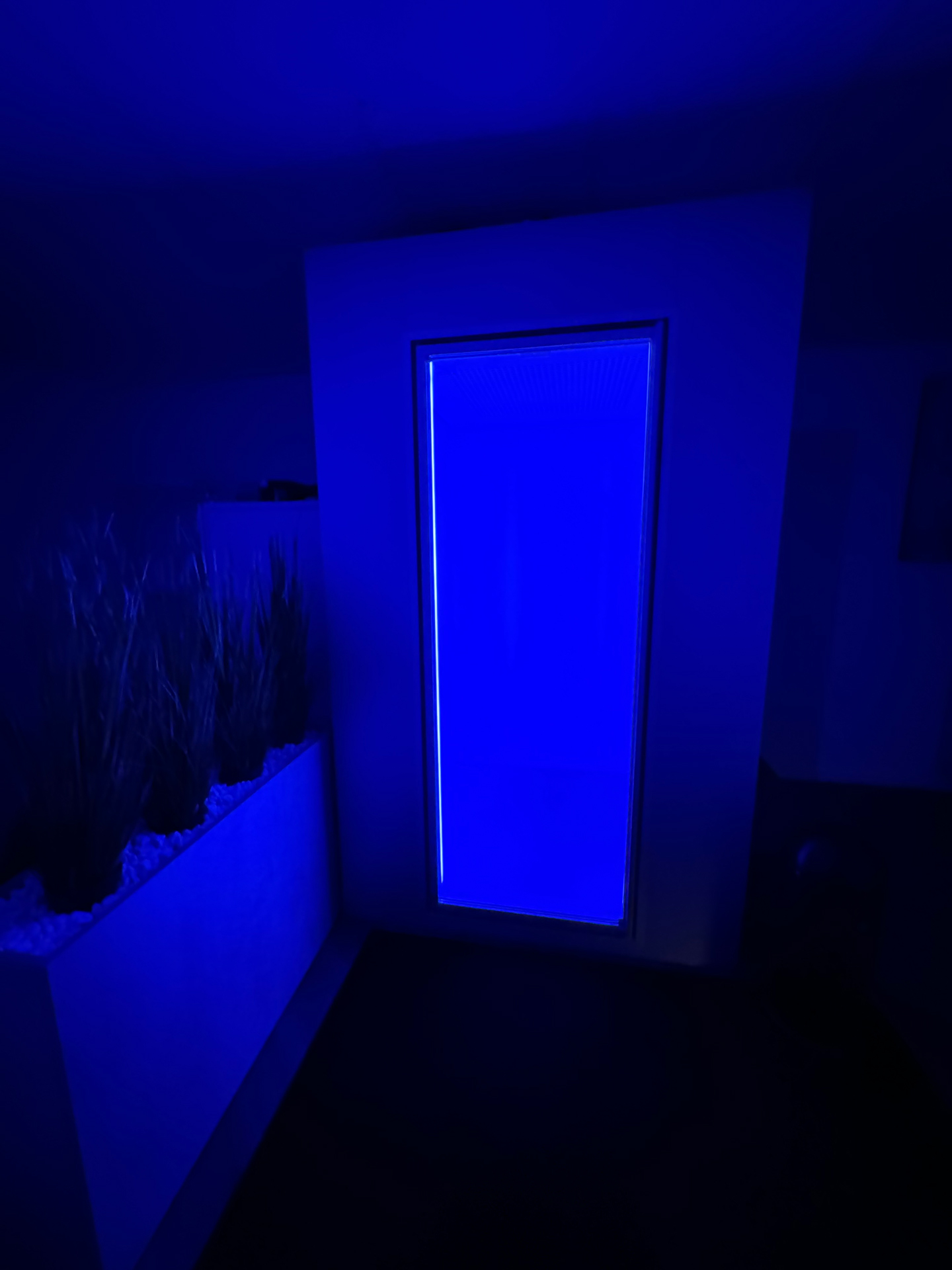 Blau leuchtendes Lichtpaneel in dunklem Raum neben einem Pflanzkasten mit Graesern